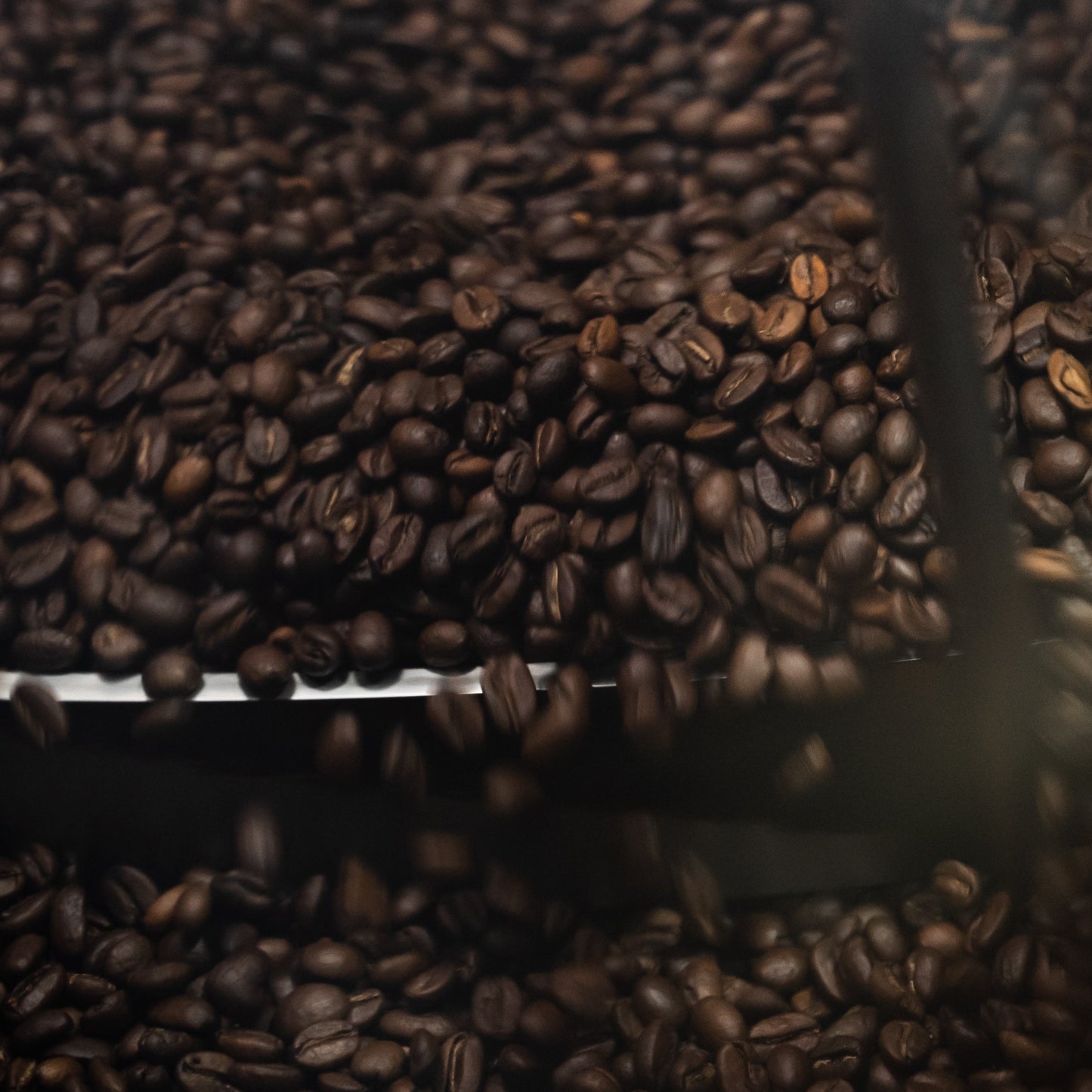 Les cafés Le Bonifieur s’engagent pour l’environnement !